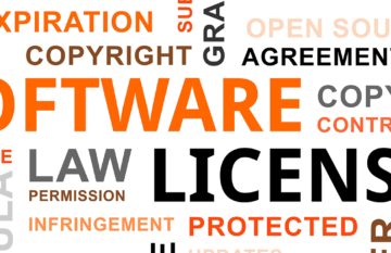 Software license management – license, manage, profit